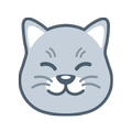 Curious Cat