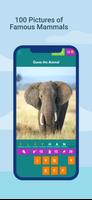 Animals Quiz - Learn All Mammals скриншот 2
