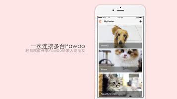 波宠乐 海报
