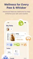 Pawsync 海報