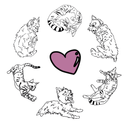 Cache Valley Pet Sitting APK