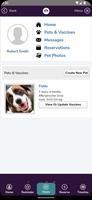 Doggie Shrink اسکرین شاٹ 2