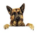 Primitive Dog LLC APK