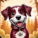 Westminster Pet Resort APK