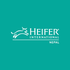 آیکون‌ Heifer-LFST