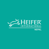 Heifer-LFST 图标