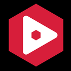 VidSummit 2019 アイコン