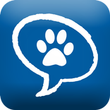 ”PatiChat - Sahiplenme İlanları