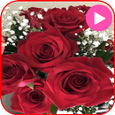 Animated Flowers Stickers APK