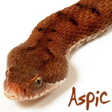 Aspic icône