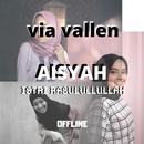 Via Vallen - Aisyah Istri Rasulullah Mp3 Offline APK