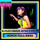 DJ Plis Cobain Jatah Mantan Remix Full Bass APK