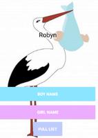 Baby Name Ideas poster