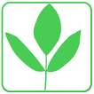 Medicinal Plants and uses