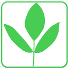 Medicinal Plants icon
