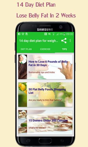 14 Day Diet Plan Lose Belly Fat In 2 Weeks For Android Apk Download