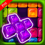 ”Block Puzzle Pro