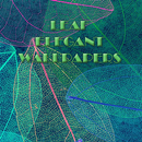 Leaf Pattern hình nền APK