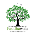 Paudhawala