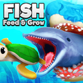 Feed and Grow Fish Royal