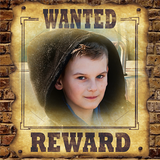Wanted Poster icône