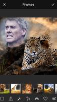 Wild Animal Poster