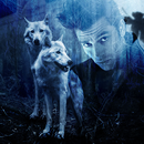 Wild Animals in Photo APK