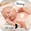 Baby Milestones Pics Story Editing App