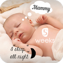 Baby Milestones Pics Story Editing App APK