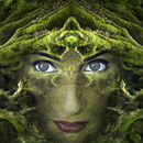 Fantasy Frames for Pictures APK
