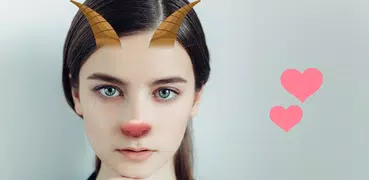 Face Filters for Pictures