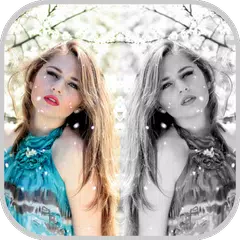 Descargar APK de Mirror Photo: Effects Art Pro