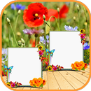 Nature Dual Frames Editor APK