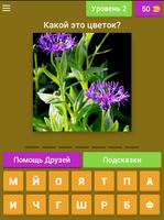 Угадай название цветка imagem de tela 2