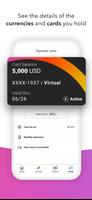 Payoneer captura de pantalla 2