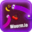 Woorm.io
