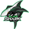 Black Shark Booster APK