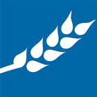 Breadsmith icon