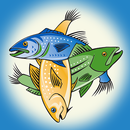 Mac's Seafood APK