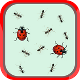 Mariquitas y hormigas