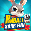 Pinball Soar Fun