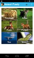 Animal Family Affiche