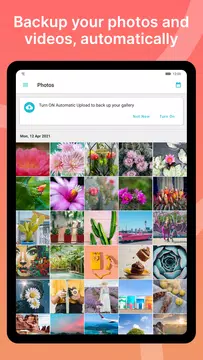 Pcloud Free Cloud Storage Apk 3 8 0 Download For Android Download Pcloud Free Cloud Storage Xapk Apk Bundle Latest Version Apkfab Com Pcloud Free Cloud Storage Apk 3 8 0 Download For Android Download Pcloud Free Cloud Storage Xapk Apk Bundle Latest Version Apkfab Com