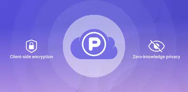 pCloud Pass - Password manager