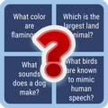 Animal Quiz