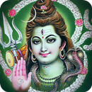 APK Shiv Lingastakam & Rudrastakam