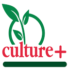 Culture Plus icône