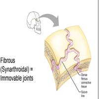 Basics of Orthopaedics 截图 1