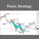 Forex Strategy 아이콘
