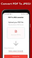 PDF To JPEG Converter capture d'écran 2